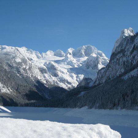 Appartement Alpenblick Gosau Exteriér fotografie